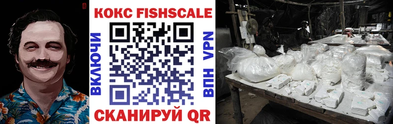 купить закладку  Киров  Cocaine Fish Scale 