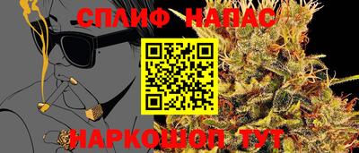 мдпв Бийск