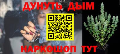 мдпв Бийск