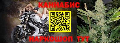 мдпв Бийск