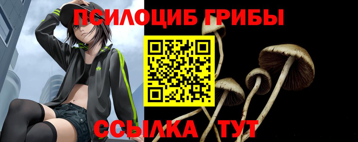 Галлюциногенные грибы GOLDEN TEACHER Киров